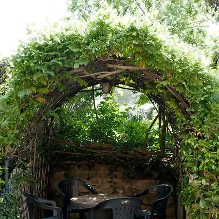 ベルヴェデーレ ホテル 3*